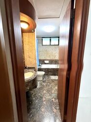 Signature Park (D21), Condominium #497497921